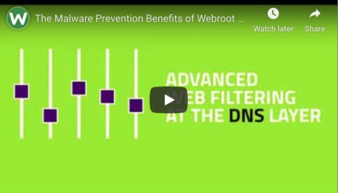 Stop Uncontrolled Web Usage In Its Tracks with DNS Protection